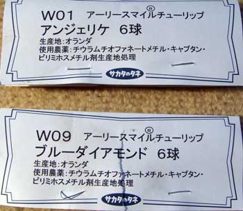 ファイル名: tuearlys0811202.jpg
ファイルサイズ: 19.5KB tuearlys0811202