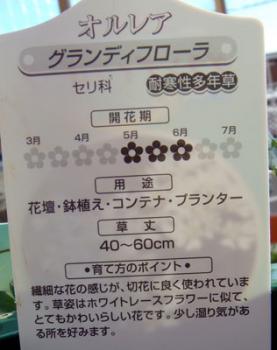 ファイル名: orl09011502.jpg
ファイルサイズ: 29.4KB
→クリックで元のサイズを表示 orl09011502
