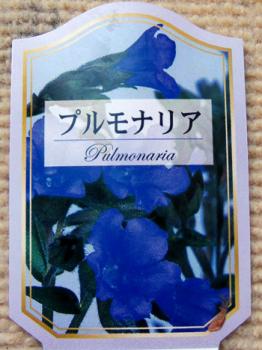 ファイル名: pulm09030704.jpg
ファイルサイズ: 51.2KB
→クリックで元のサイズを表示 pulm09030704