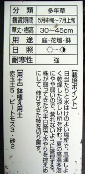 ファイル名: geraj2.jpg
ファイルサイズ: 47KB
→クリックで元のサイズを表示 geraj2